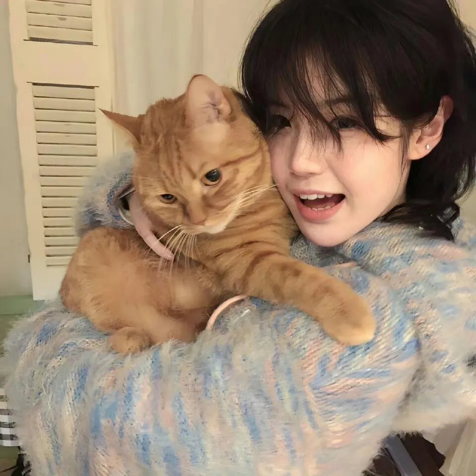 加利亚遇上加利亚